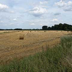 niederrhein